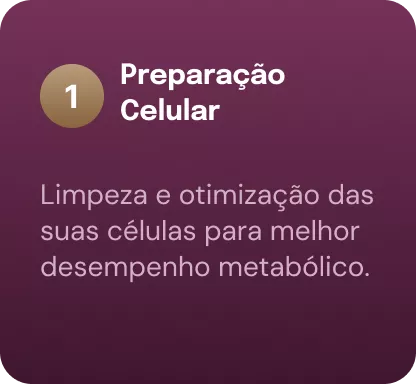 coluna-01-690ccf5234b53