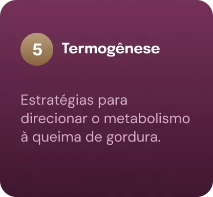 coluna-05-690ccf531701c